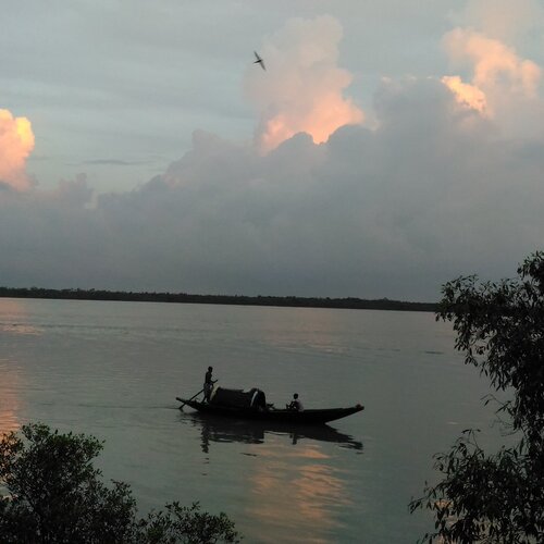 Sundarbans on the go