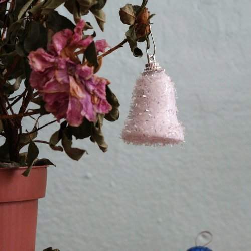 Photo #2107065