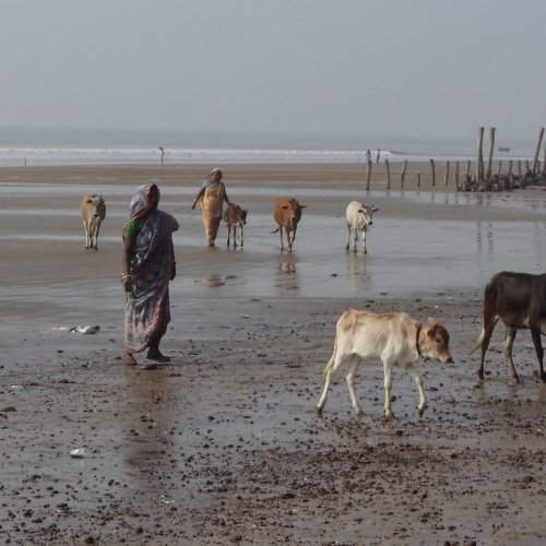 Incredible India