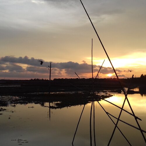 Lonely twilight