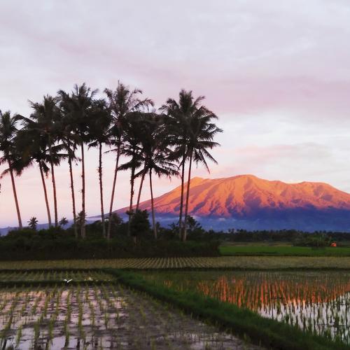 Gunuang Marapi