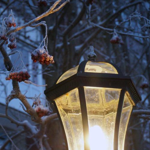 Polar night - polar lights 2