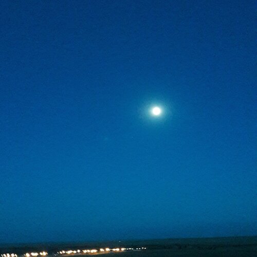 Photo #2109902