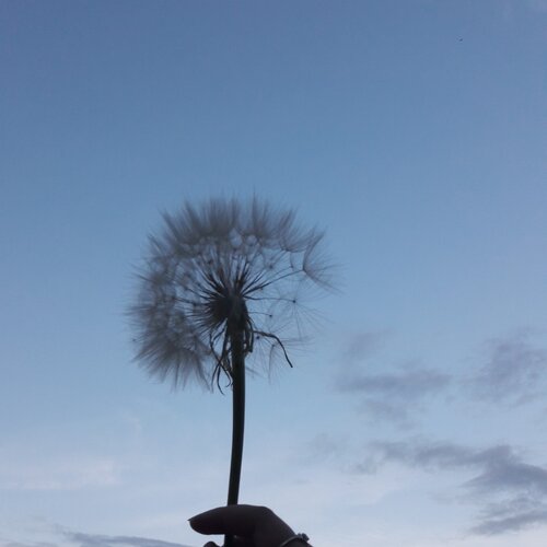 Photo #2109914