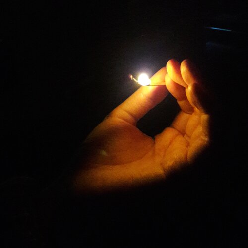Photo #2109917