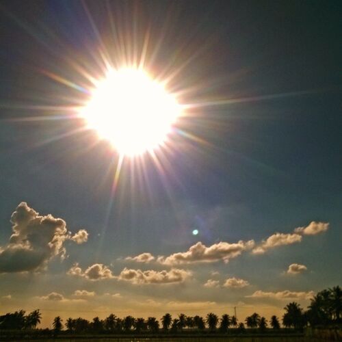 Nature Admire