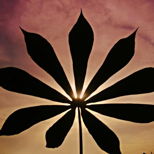 Good Evening Nature