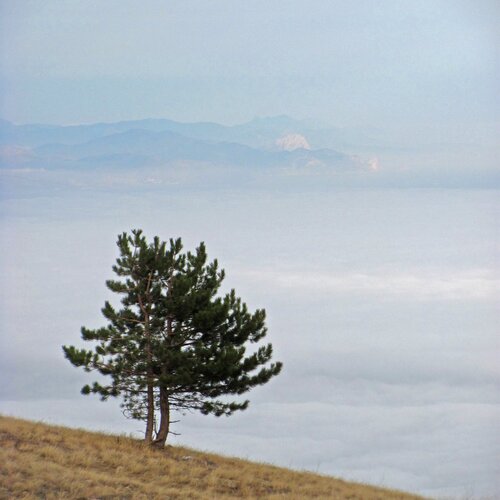 На краю