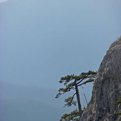 Цепляясь за жизнь