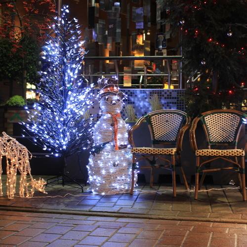 Photo #2111518