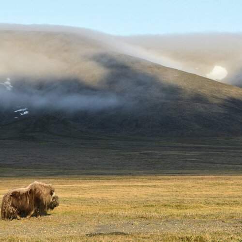 Безмятежность