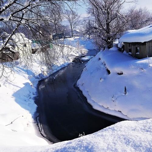 Photo #2111871