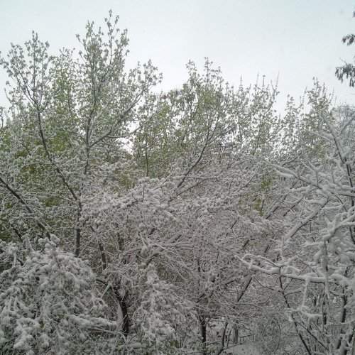Вид с окна