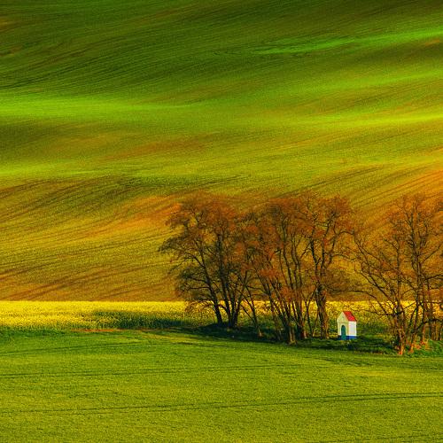 A colorful day