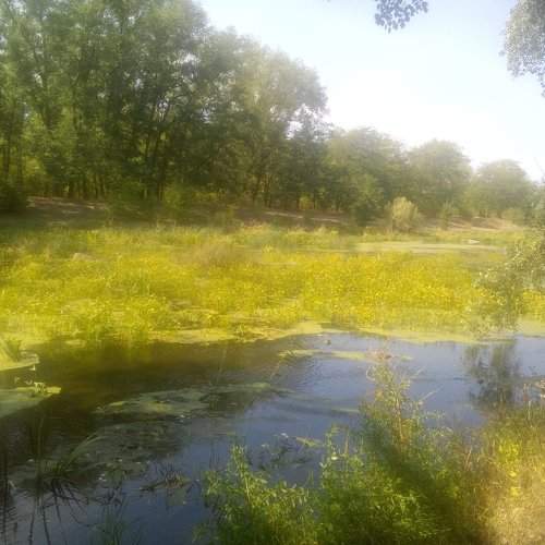 Photo #2114601