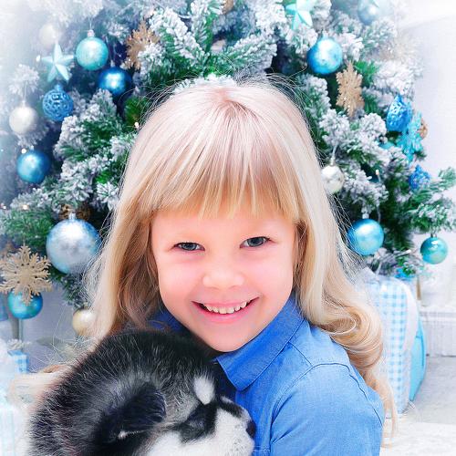 Photo #2114790