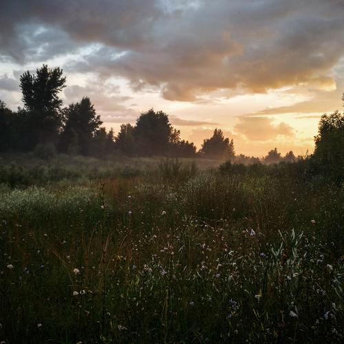 Photo #2115557