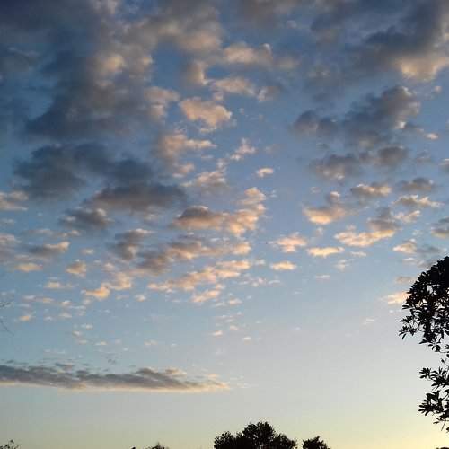 evening sky