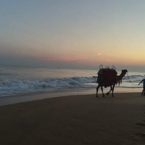 Photo #2116644