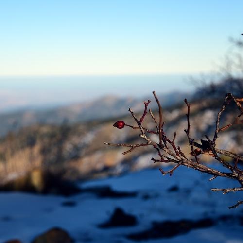 Photo #2118807