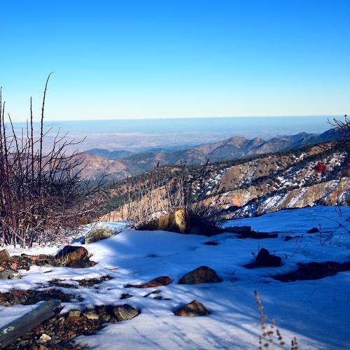 Photo #2118809