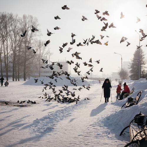 Photo #2120563