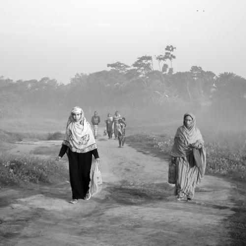 livelihood