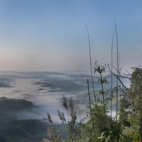 sajek landscape