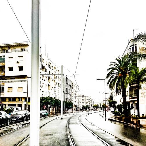 Photo #2120989