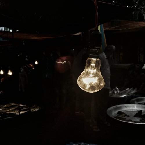 Light in the fish market