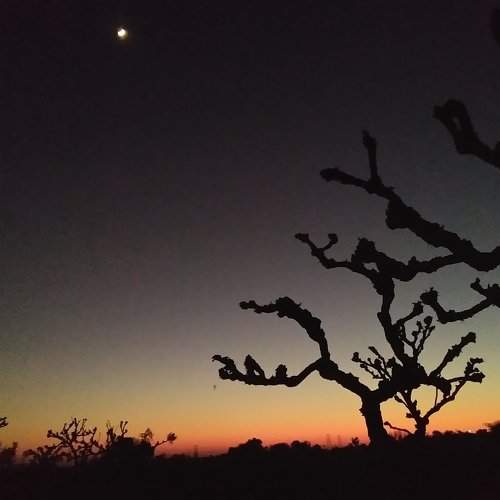 Dusk time