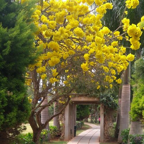 Nature's beauty