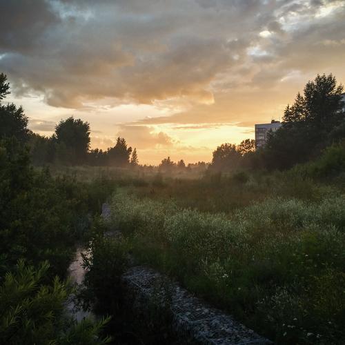 Photo #2122620