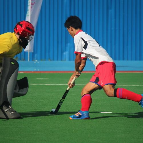 Хоккей на траве. Field hockey.