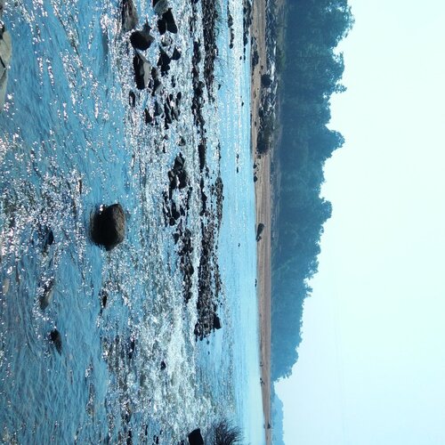 the river of life