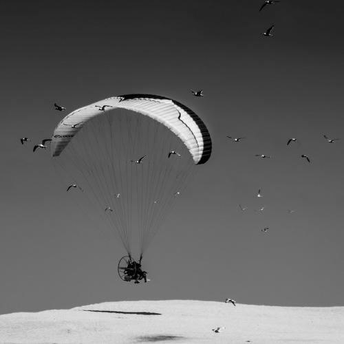 Flying like birds