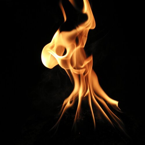 Photo #2124059
