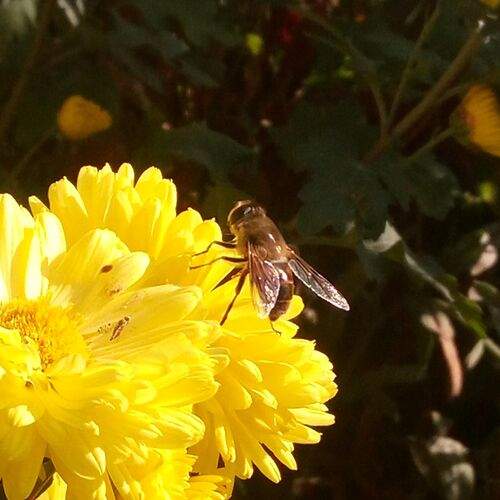 Beauty of nature