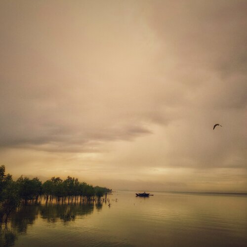 solace