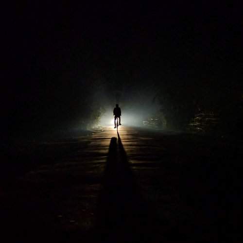 traveller