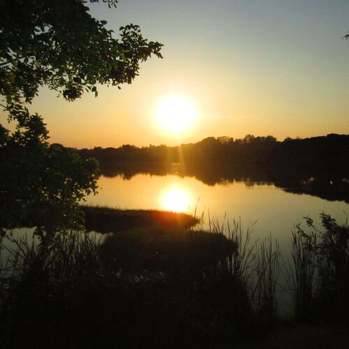 Sun set