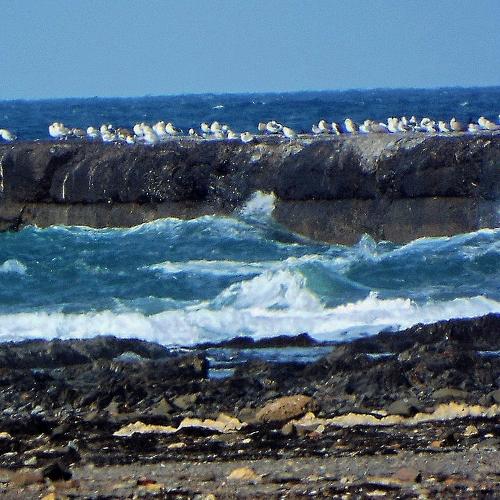 Photo #2128574