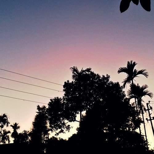 Photo #2130675