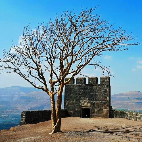 Fort edge