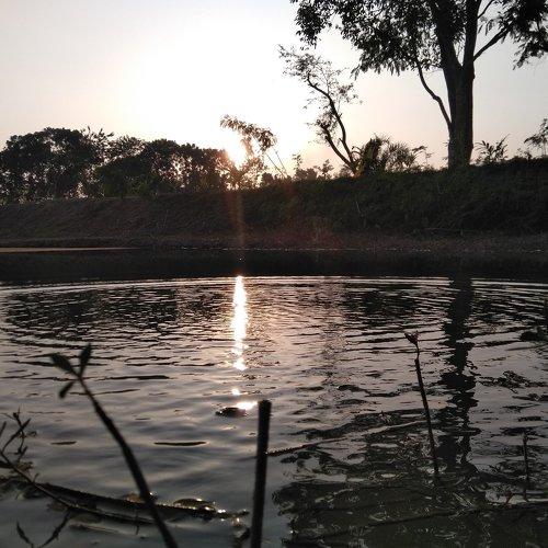 Mirror of neture