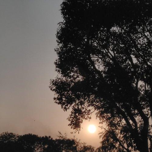 Photo #2133783