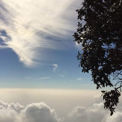 Above the clouds