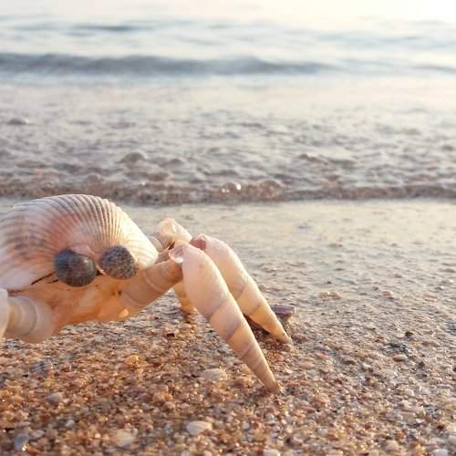 Воспоминания с моря