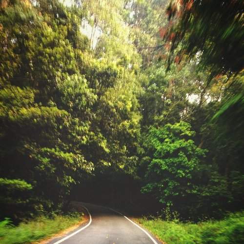 Valparai RidersHeaven