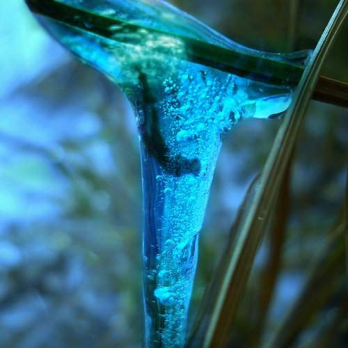 Photo #2137320
